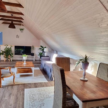 Apartman U Stef Borotice 외부 사진