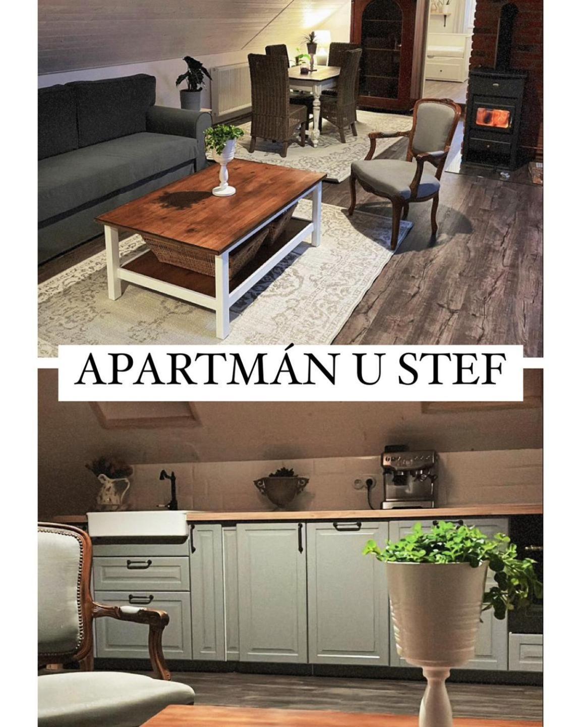 Apartman U Stef Borotice 외부 사진