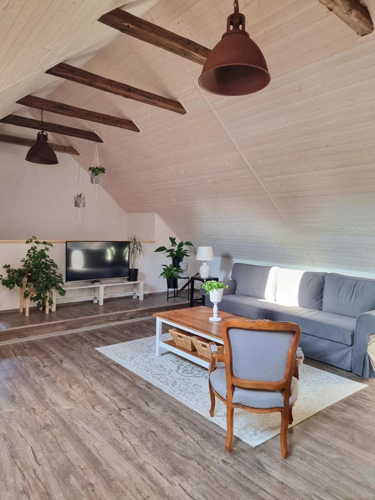 Apartman U Stef Borotice 외부 사진