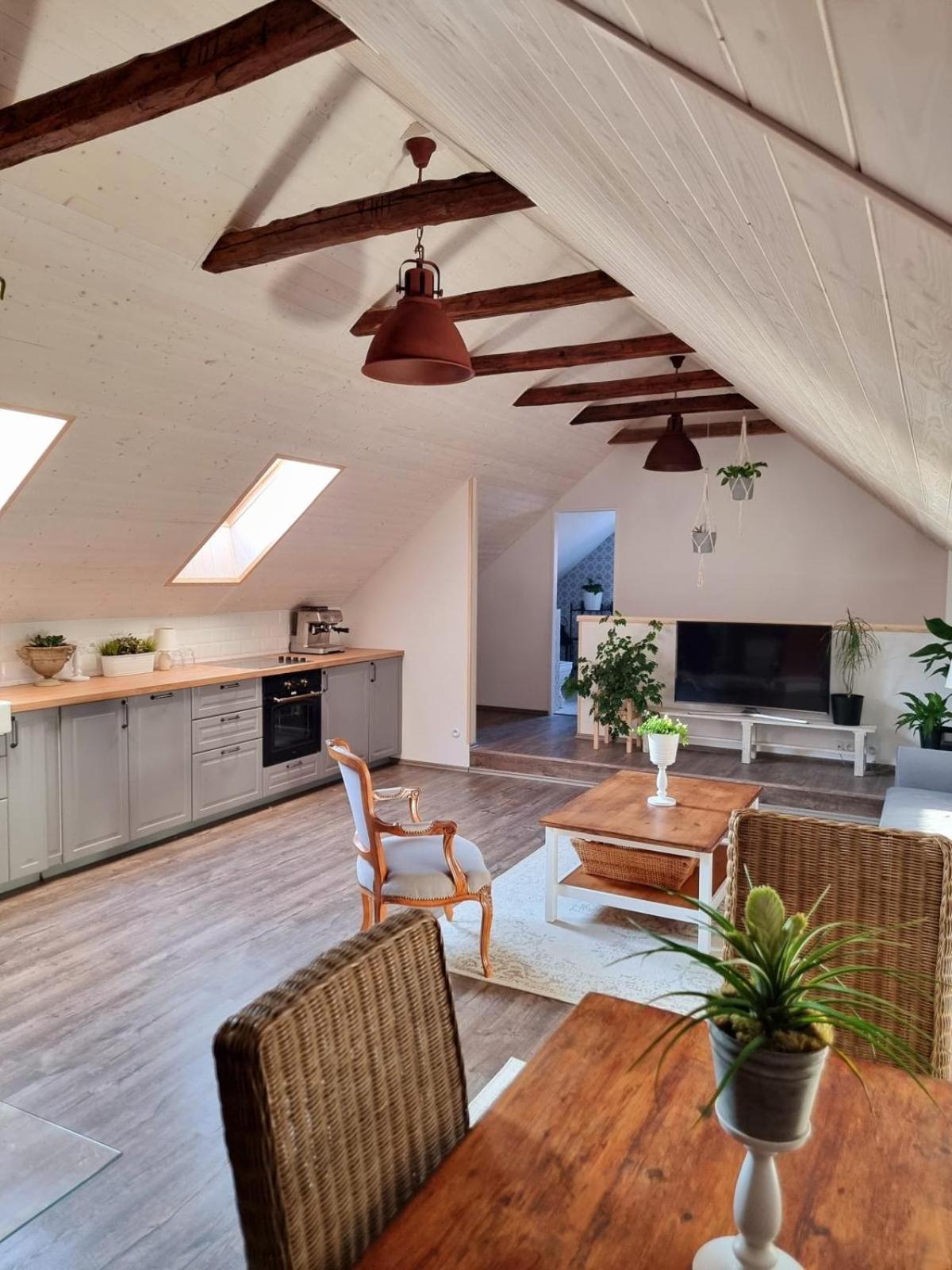 Apartman U Stef Borotice 외부 사진